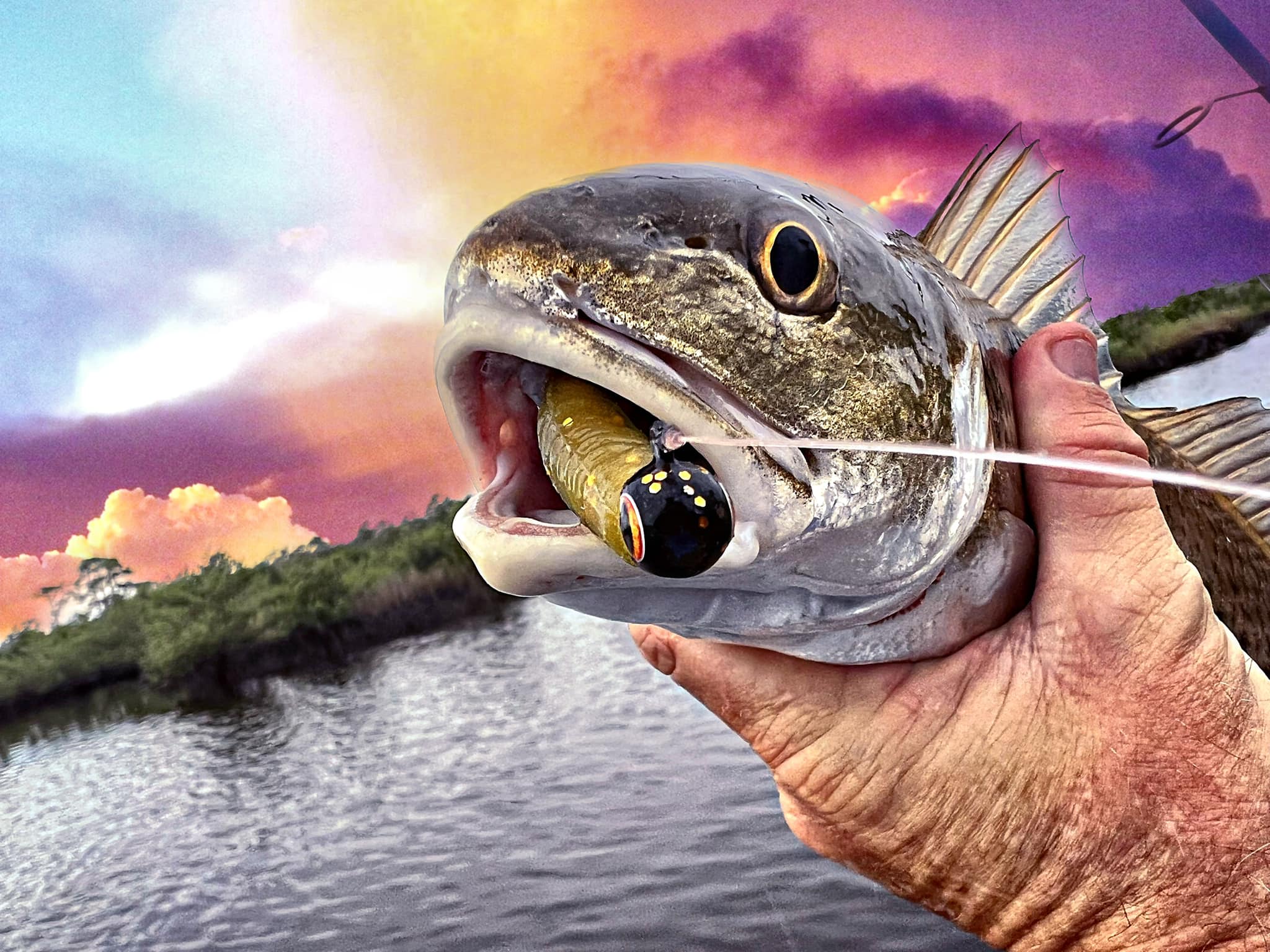 Skinny Water Lures  Fishing Lures in Palm Coast