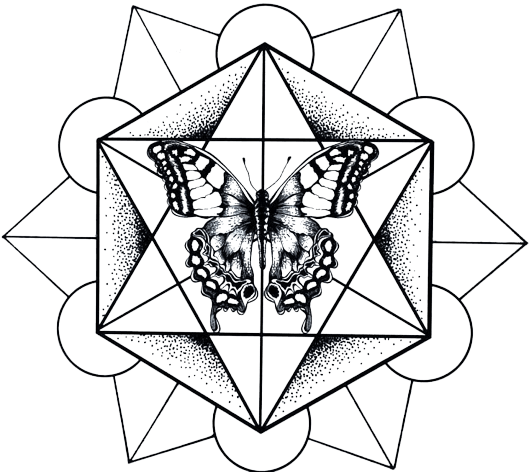 Butterfly of Life