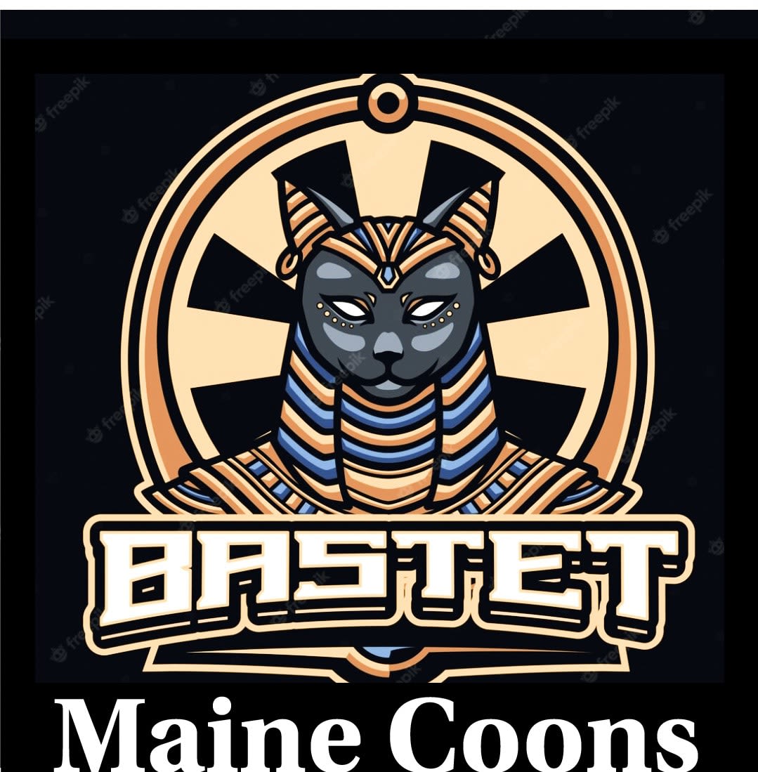 Bastet Maine Coons