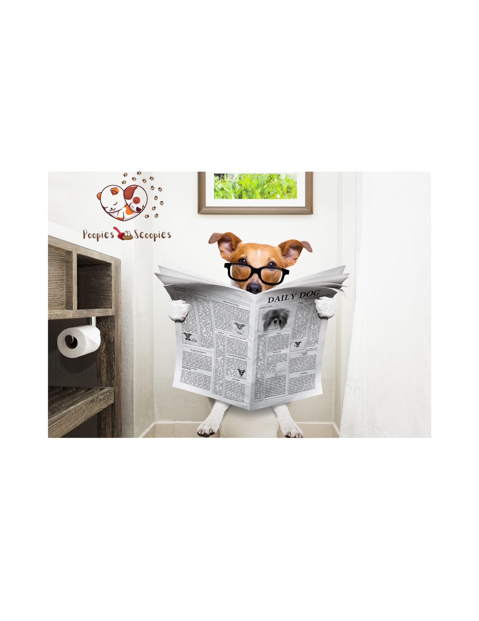 Poopies Scoopies Dog Poop Scooping Service Leesburg