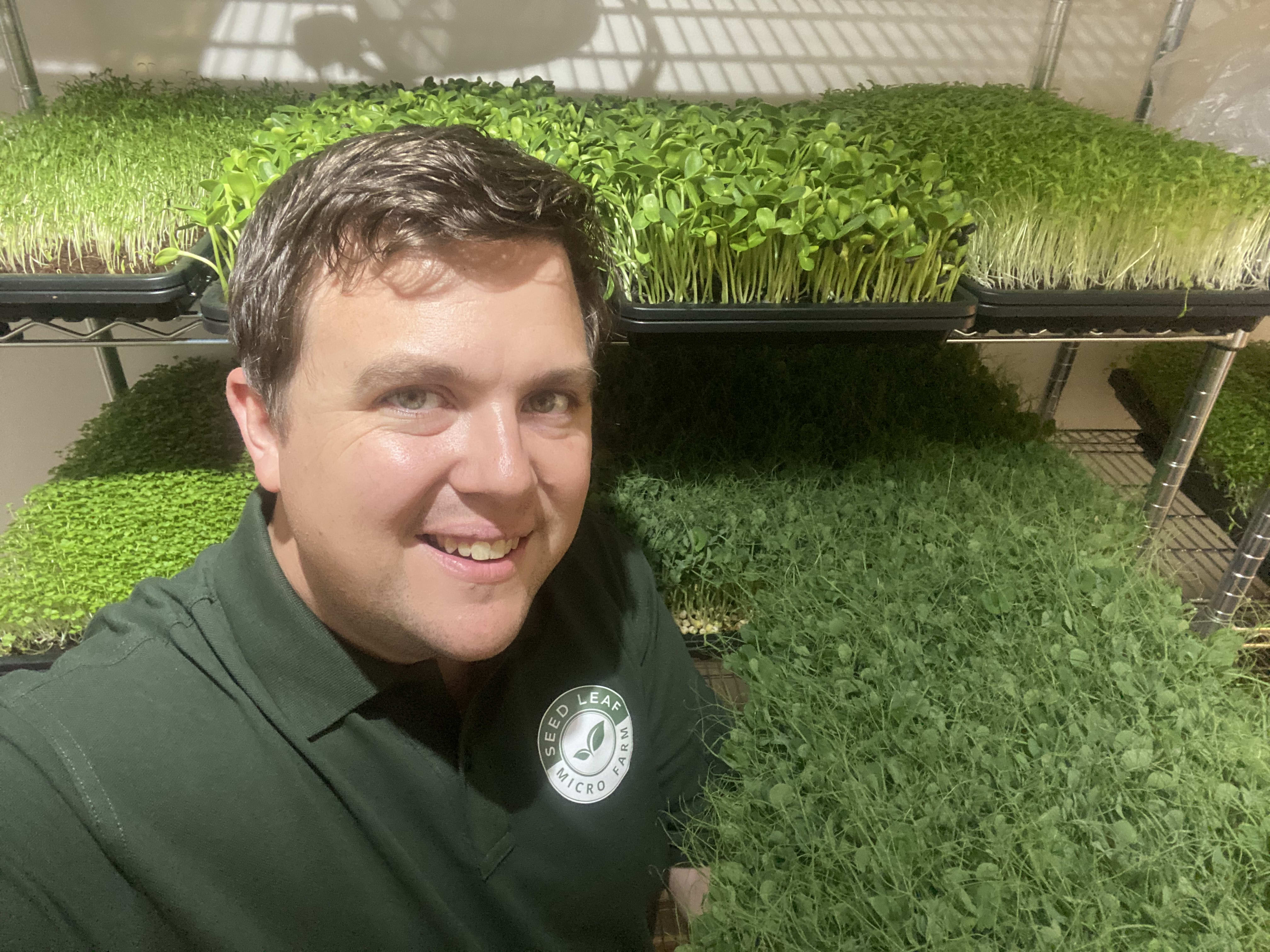 7+ Microgreen Farmers Near Me Who are we? - Seed Leaf Micro Farm | Microgreens Farm & Producers | Yateley