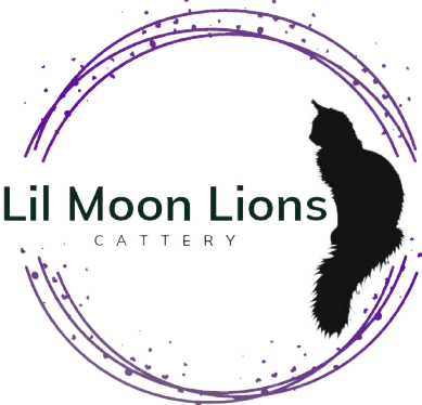 Lil Moon Lions