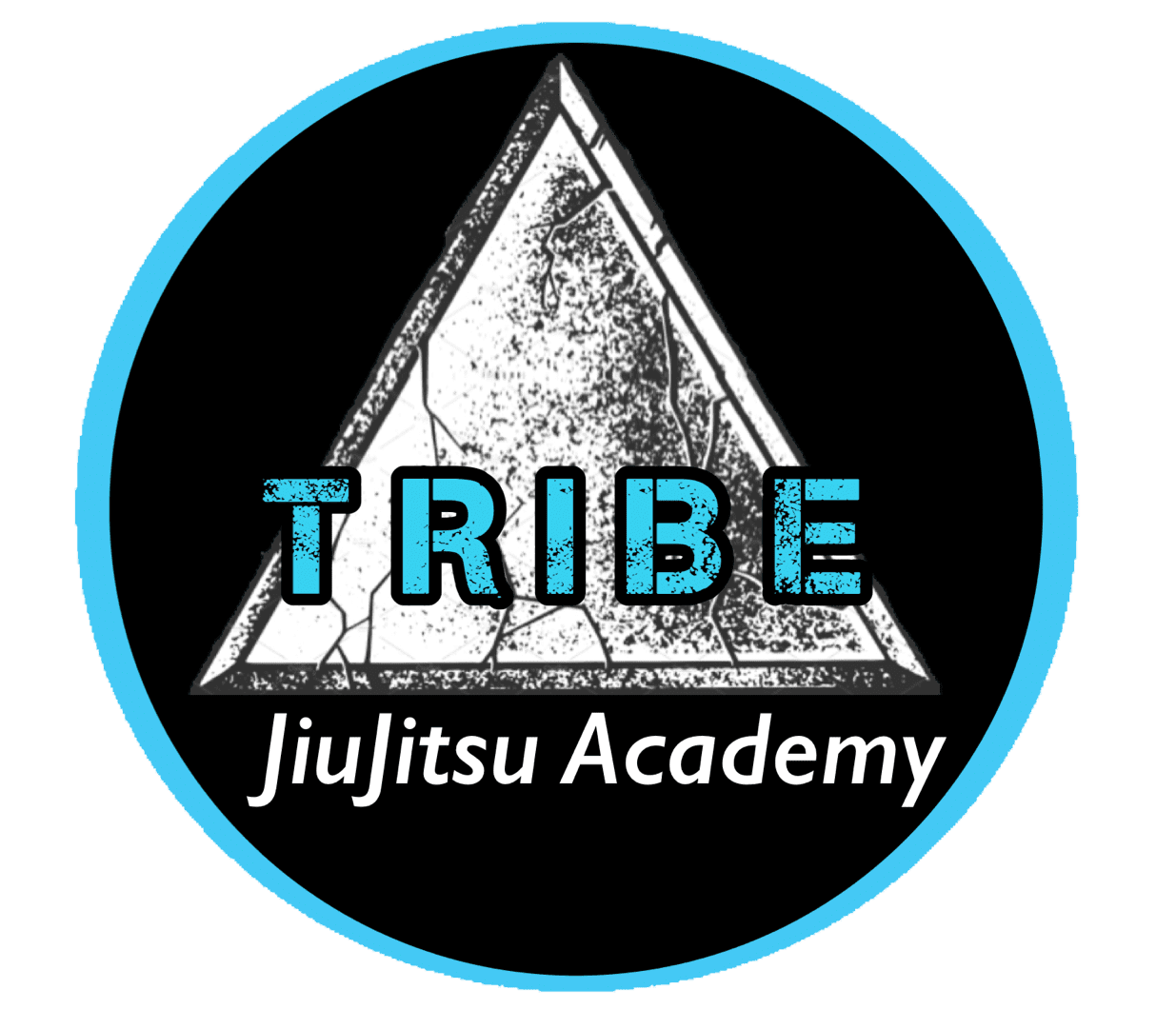 Tribe Jiujitsu Academy