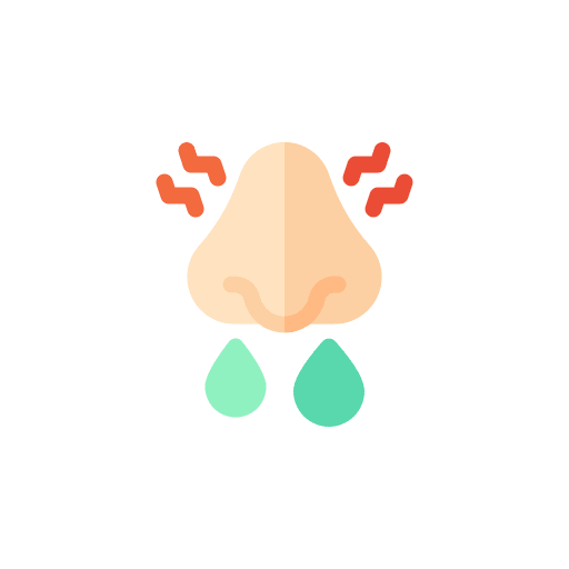 Sinus Infection Acute Illnesses Virtual Access Care Telehealth