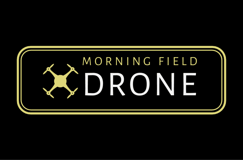Morning Field Drone