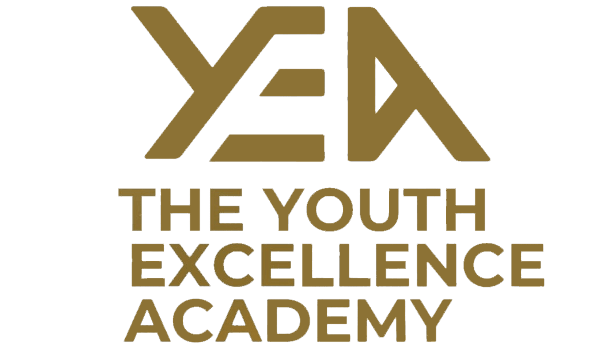 The Youth Excellence Academy