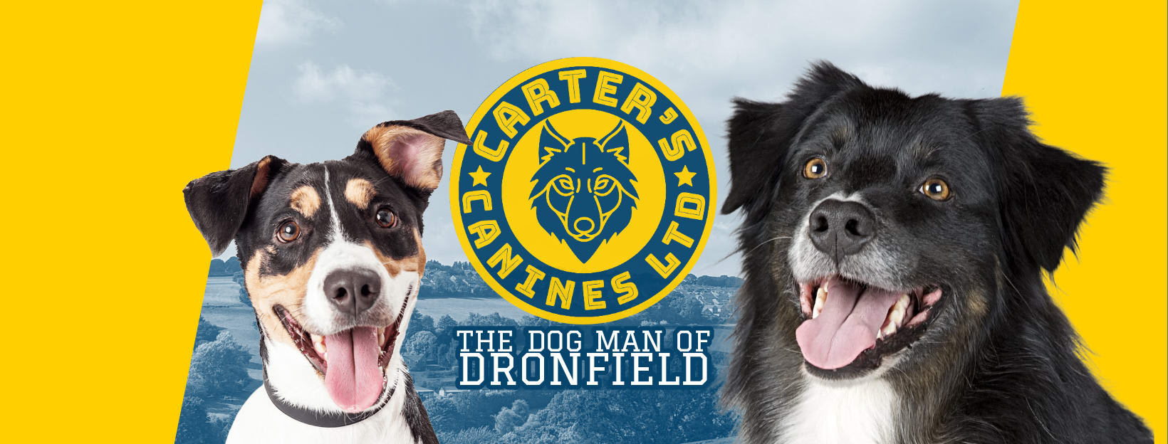 Carter's Canines LTD Animal Handler in Dronfield