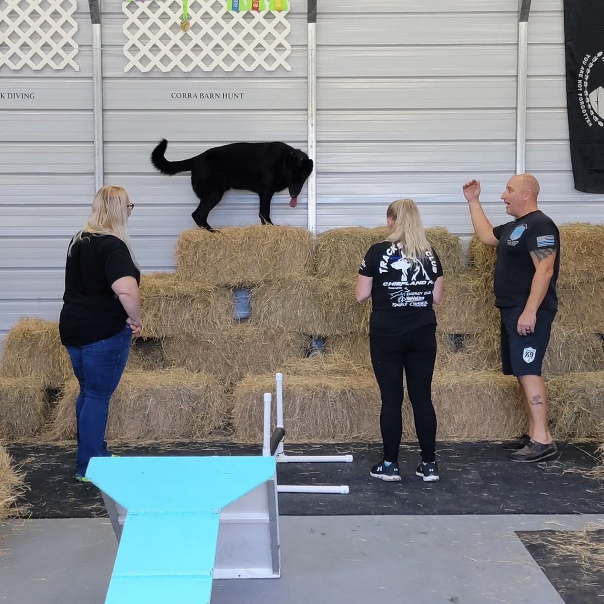 ULTIMATE RAT HUNT (training) ULTIMATE RAT HUNT Tracks K9 Club Dog