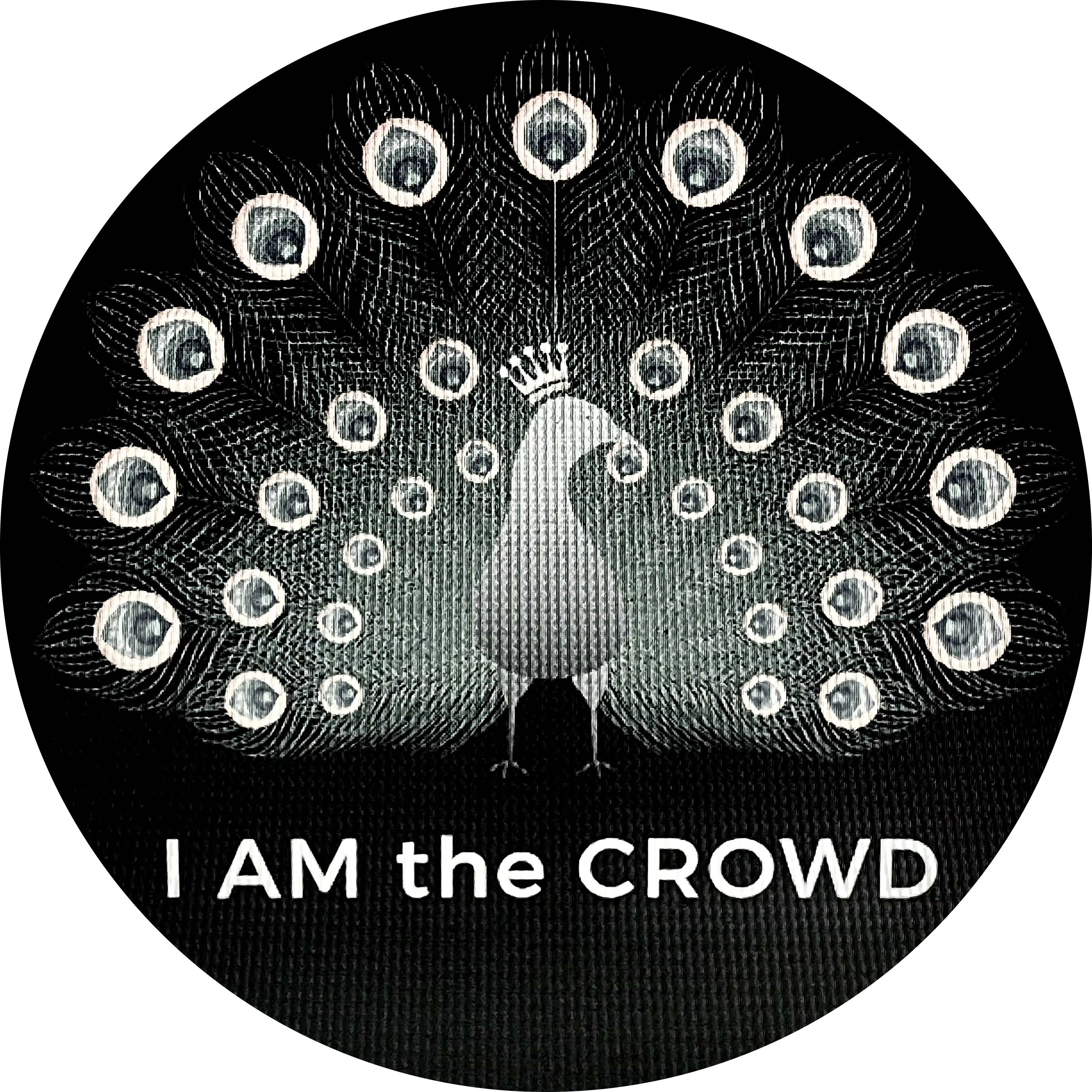 I AM The CROWD