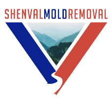 ShenVal Mold Removal