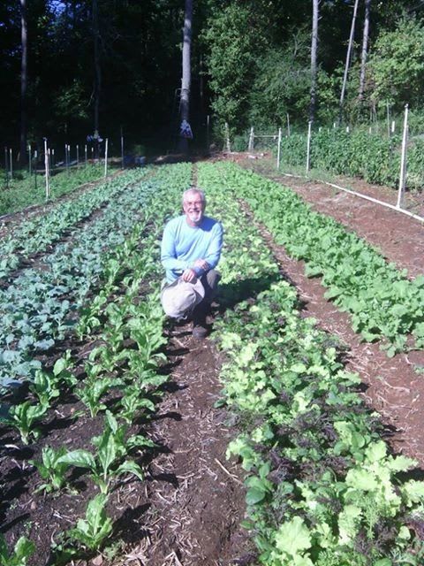 Csa Full Shares Csa Membership Shares Moss Hill Farm Organic