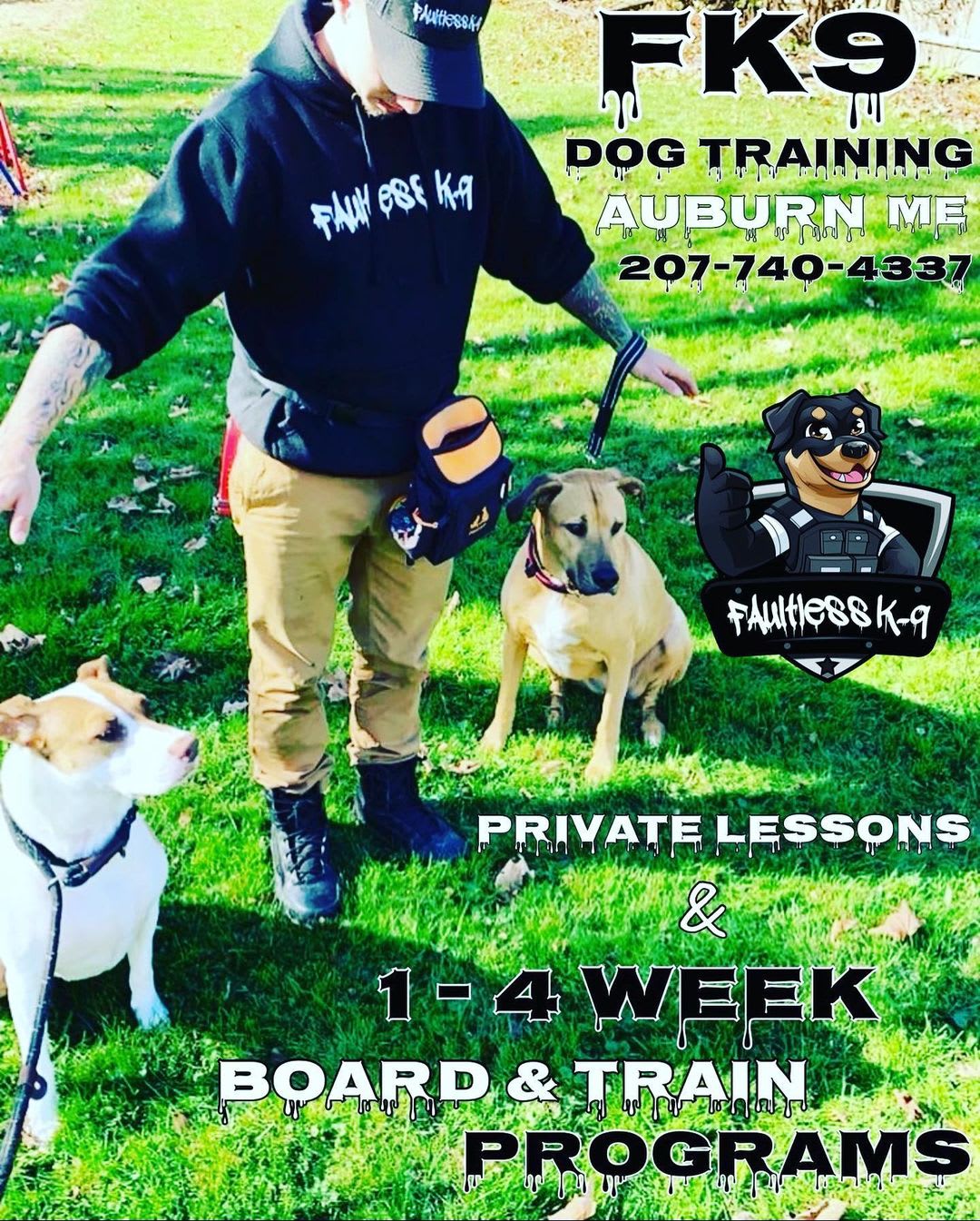 Private service dog store training