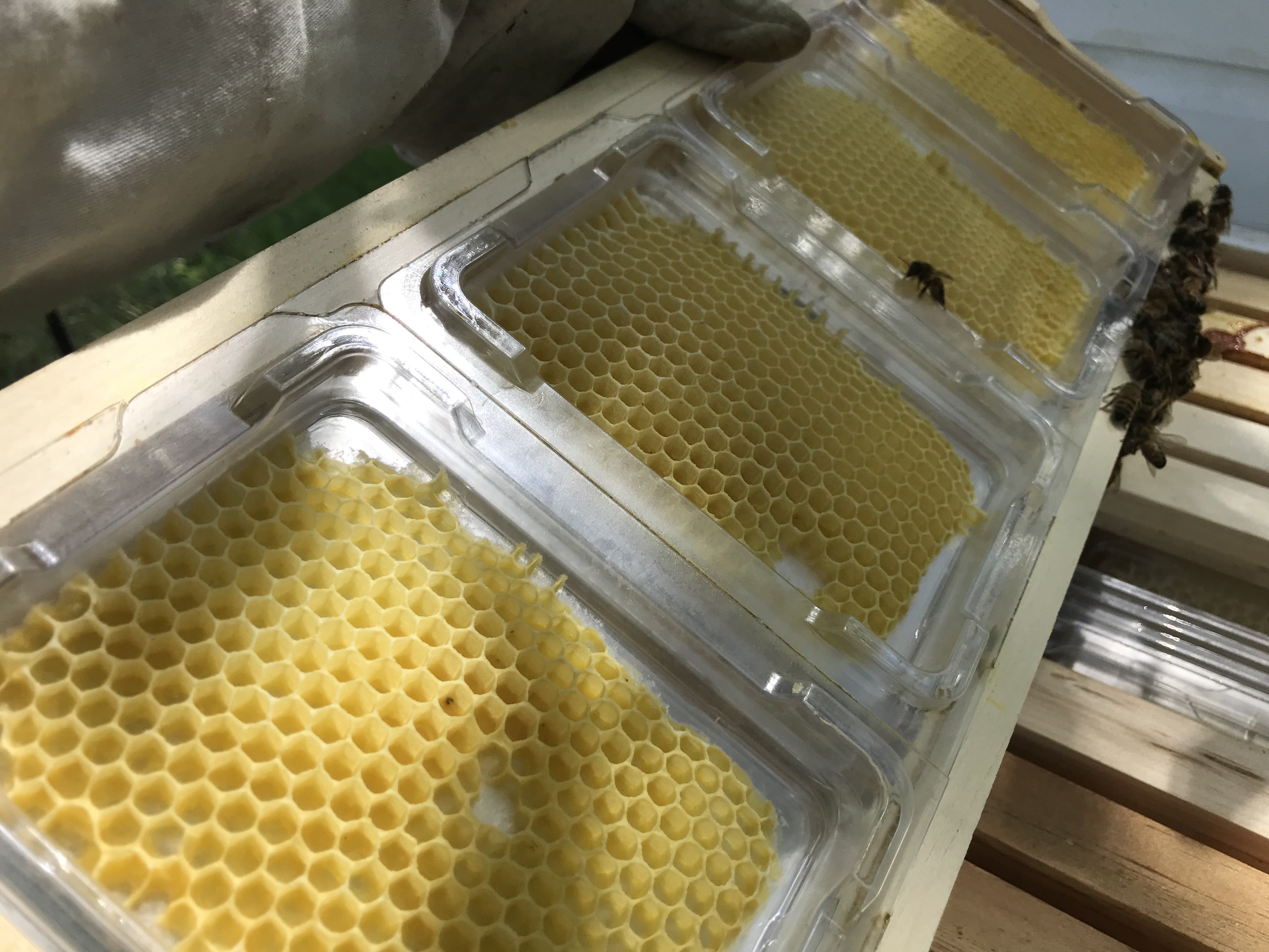 SIMPLKOMB Beekeeping Supplies Minnesota, Stillwater