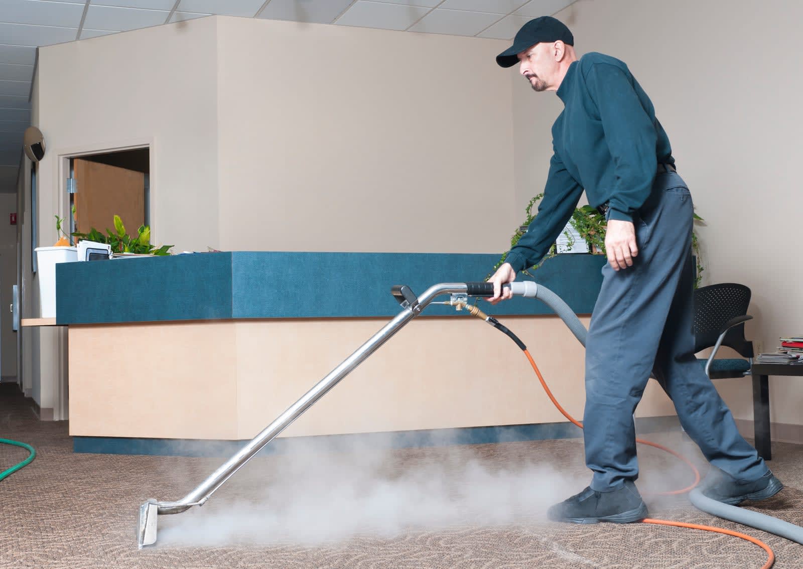 Mr. Steam Carpet Cleaning LLC Carpet Cleaner Springfield