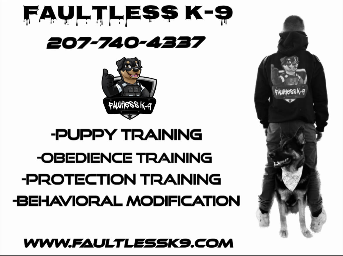 Day + Night Boarding Dog Training Faultless K9 Personal Dog