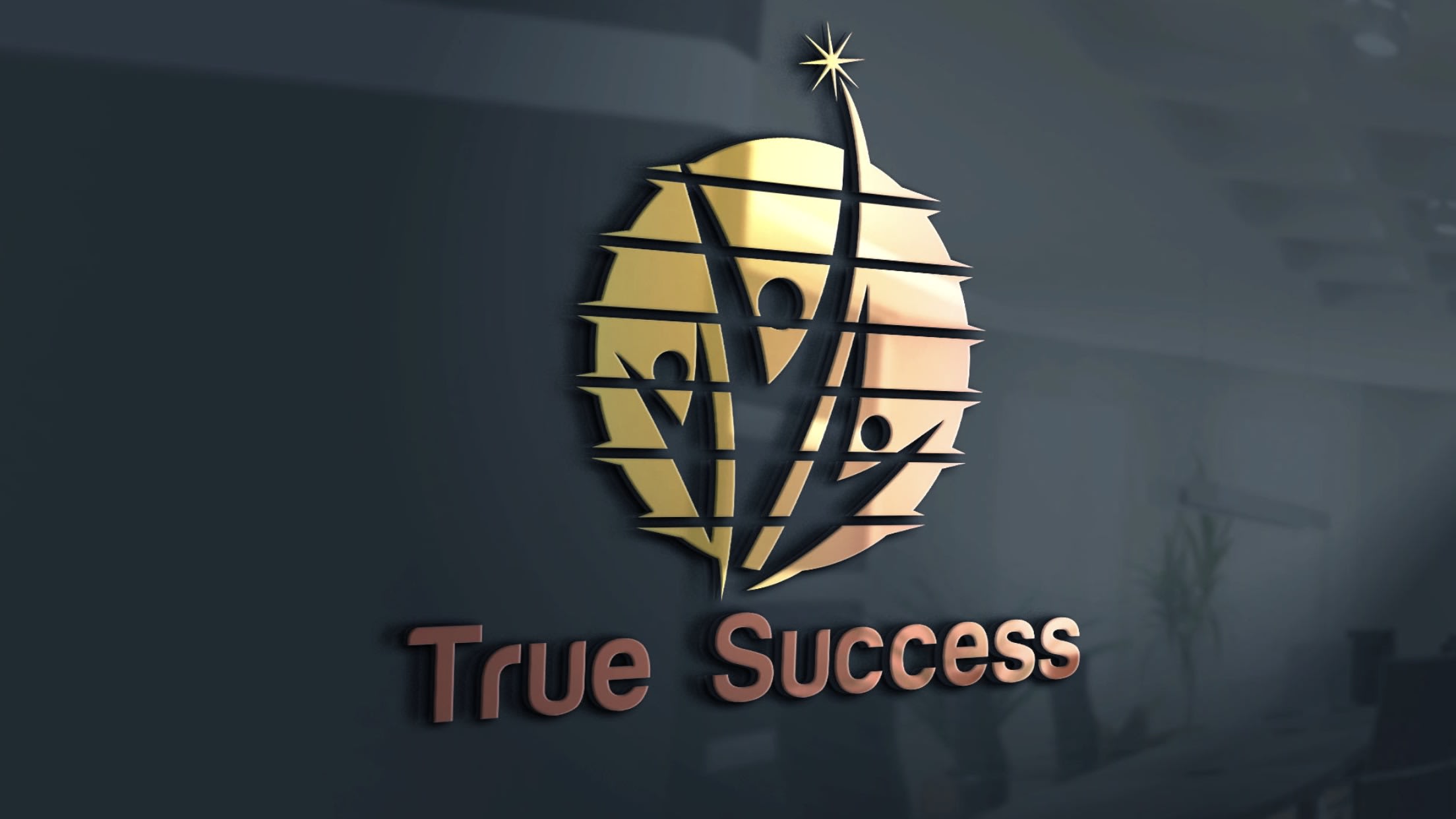 Foremost Life Coach in Ottawa True Success Life Coaching in