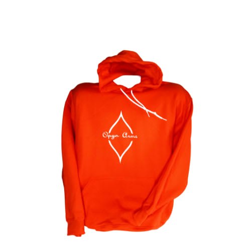 Frank ocean best sale channel orange hoodie