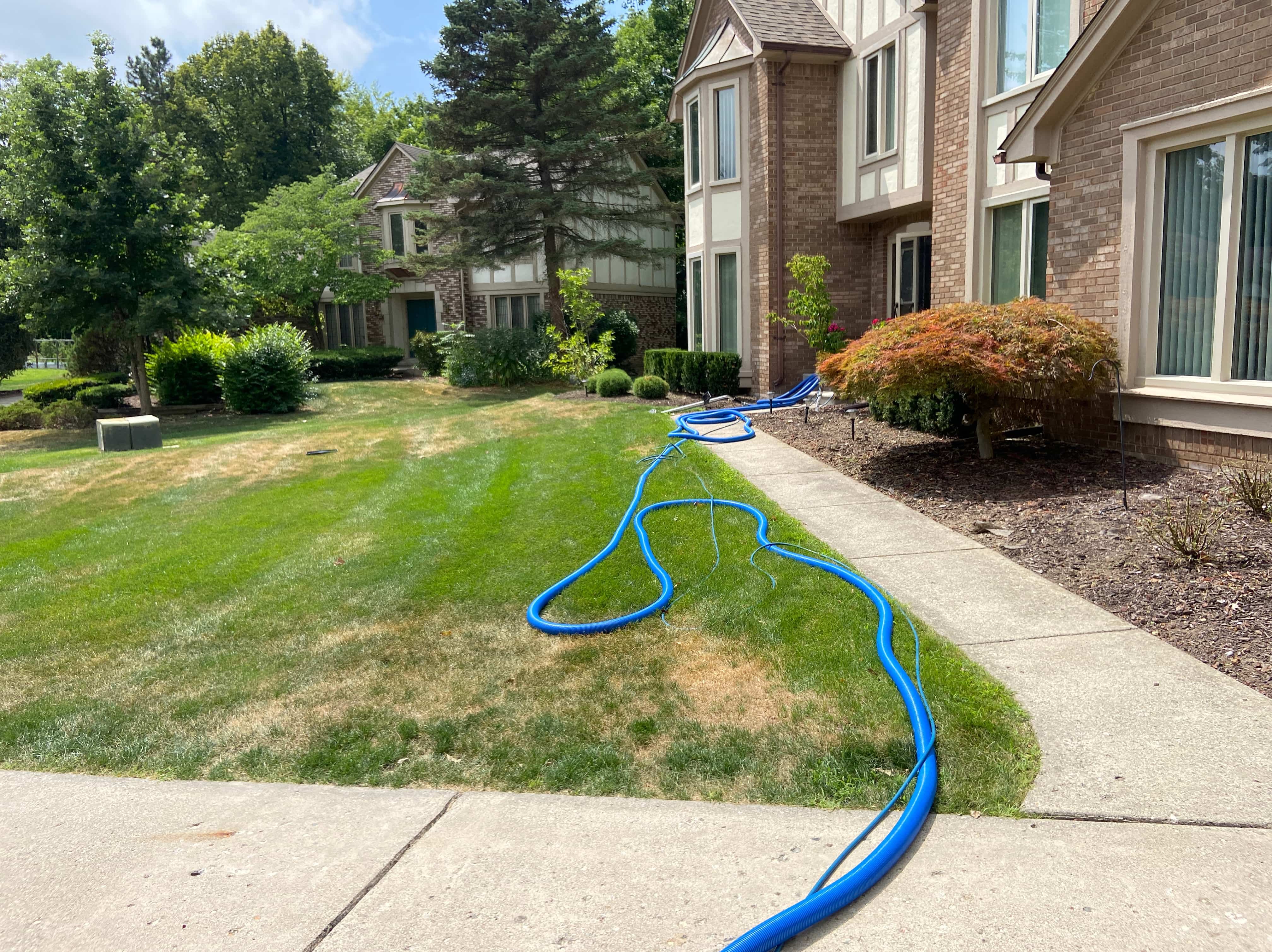 Steaming Red’s Carpet & Upholstery Cleaning Rio Rancho