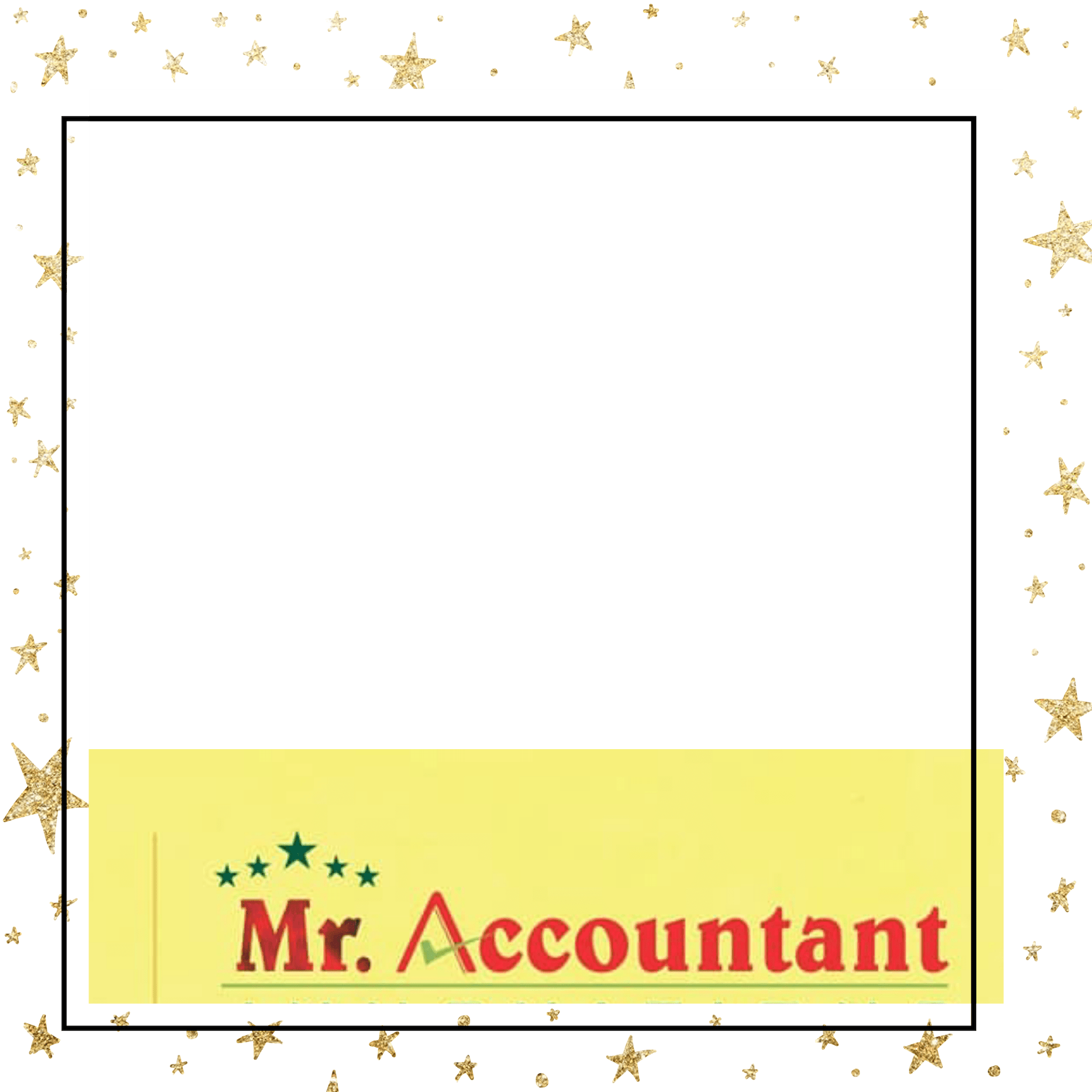 Mr. Accountant