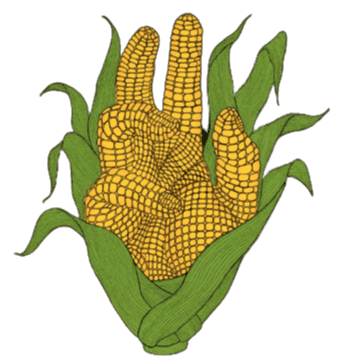 Manos de Maíz 5, LLC