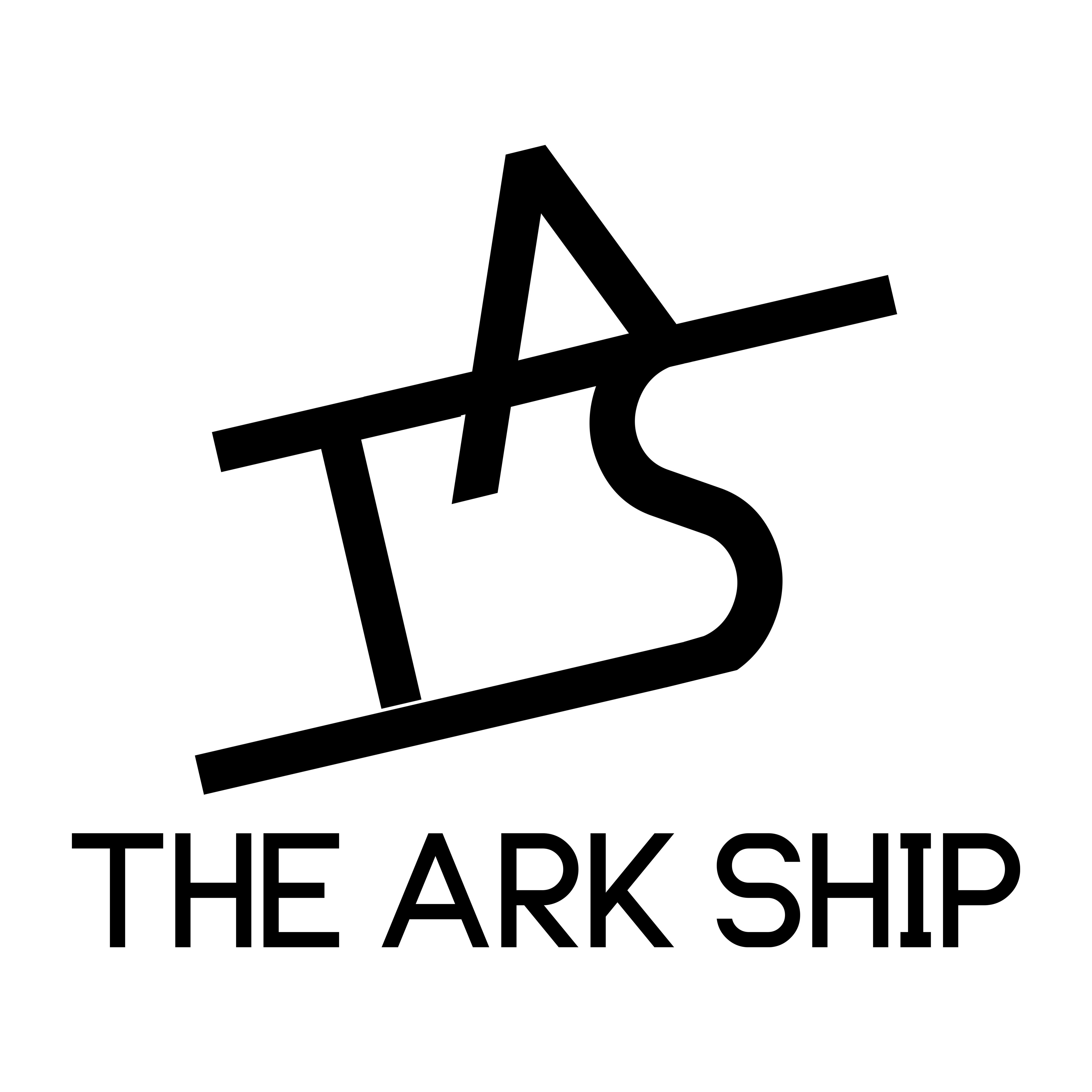 The Ark Ship