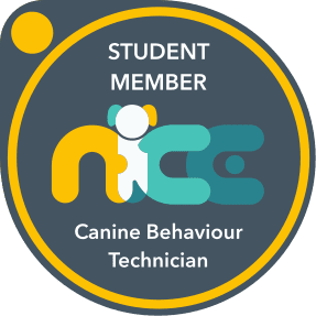 Boots and Paws Dog Training and  Behaviour Practitioner®