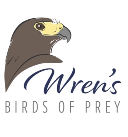 Wren’s Birds of Prey