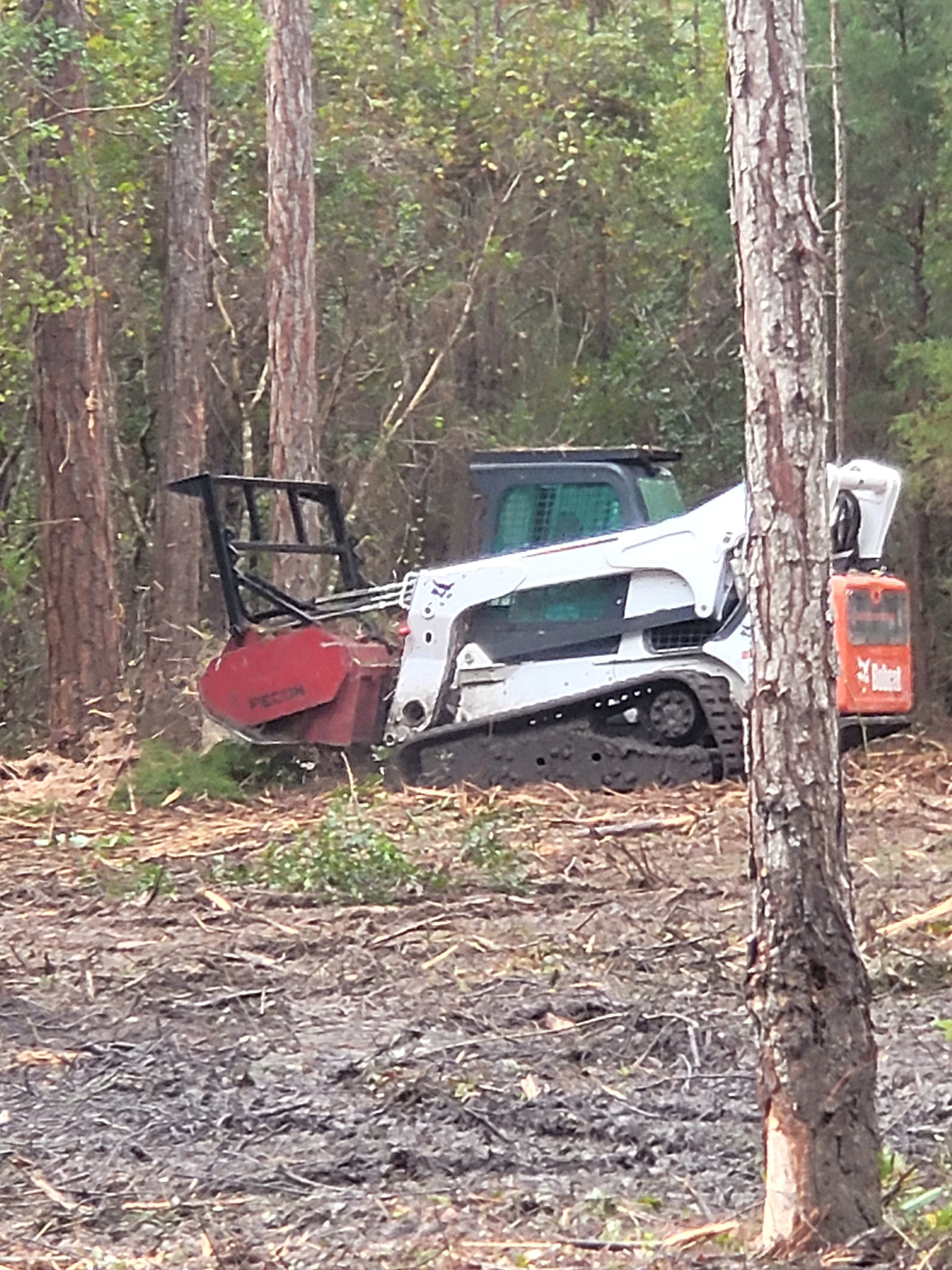 Excavating Contractor in Bunnell, FL Tree Service, Land Clearing