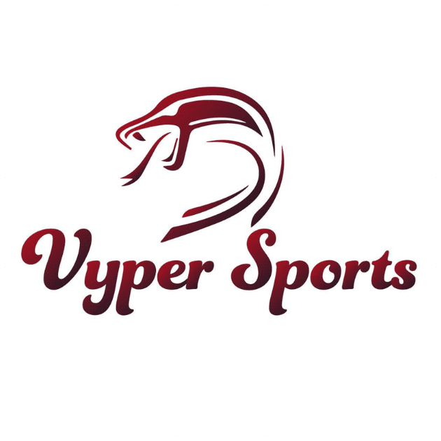 Vyper Sports LLC | Sports Coaching and E-commerce | Phoenix