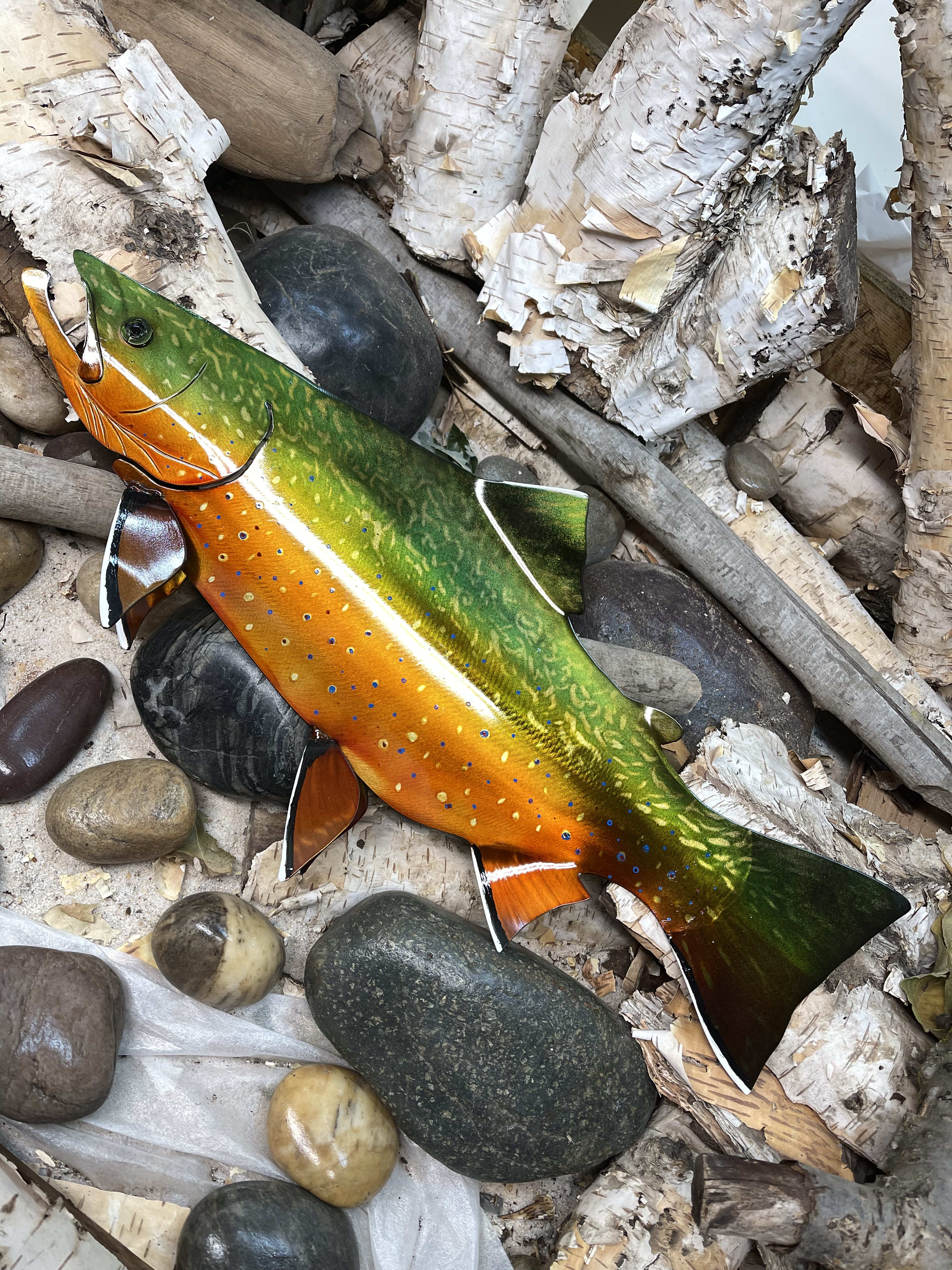 #00463 - Brook Trout 20 1/2