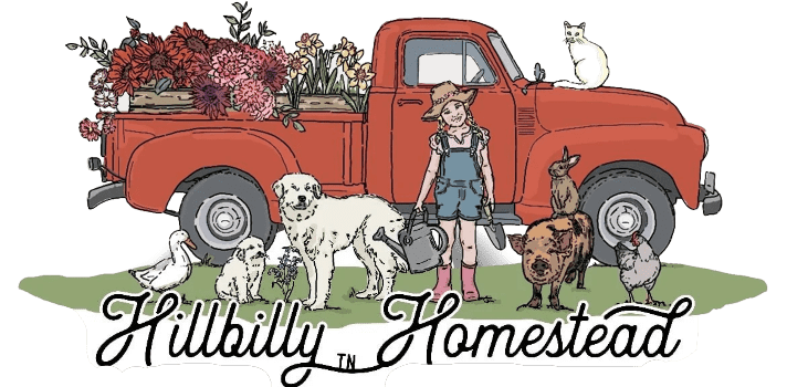Hillbilly Homestead