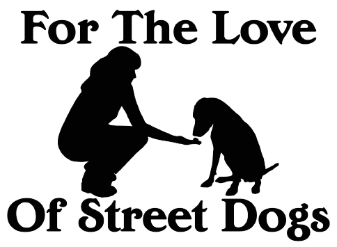 For the Love of Street Dogs