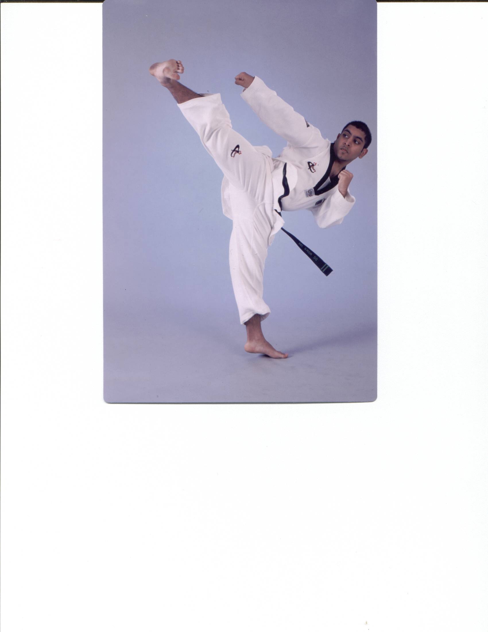 taekwondo front snap kick - Google Search