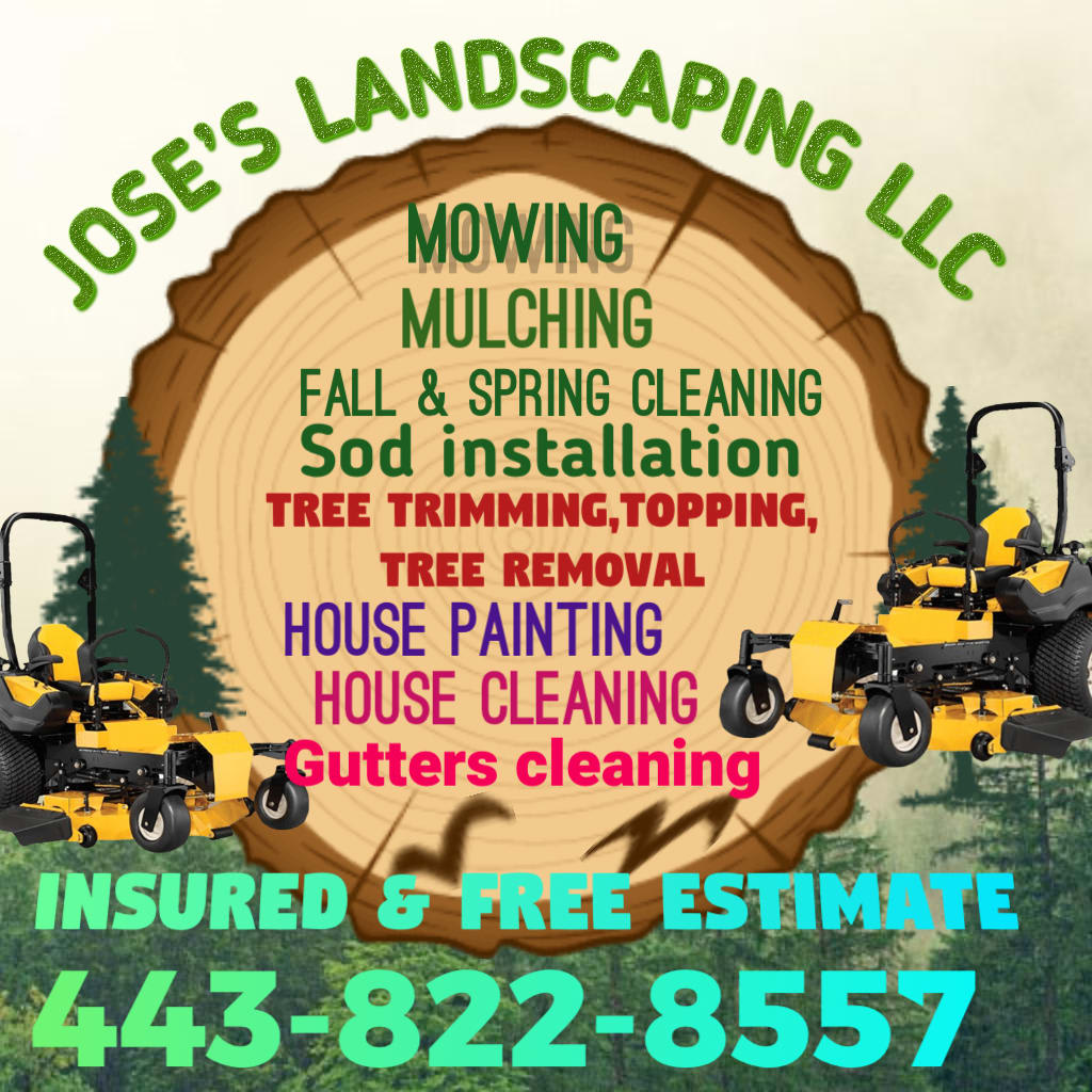 José Tree Service Annapolis, MD