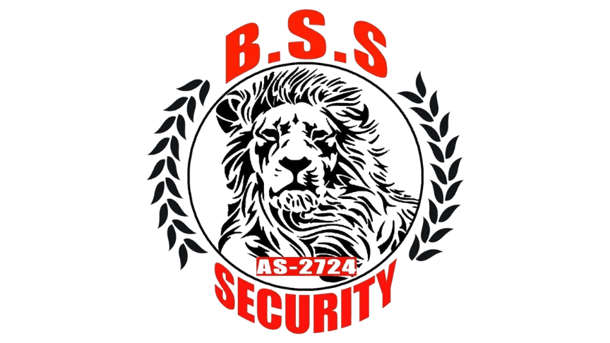 Border Security Services LLC