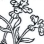 nettles'
