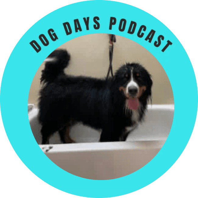 dog-days-podcast-pawsome-podcast-about-dogs-in-livermore