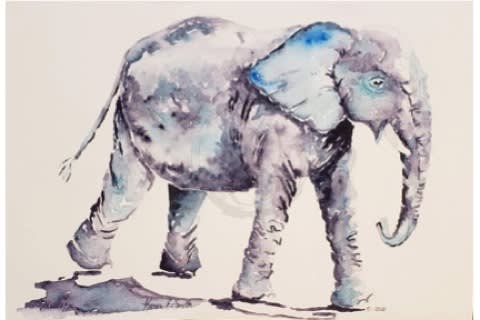 Elilien — Elefante 38. #elilien #watercolor