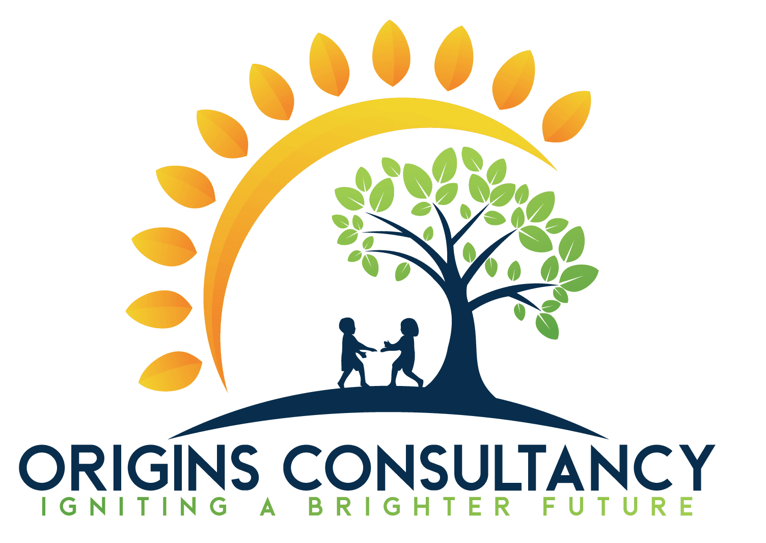 Origins Consultancy