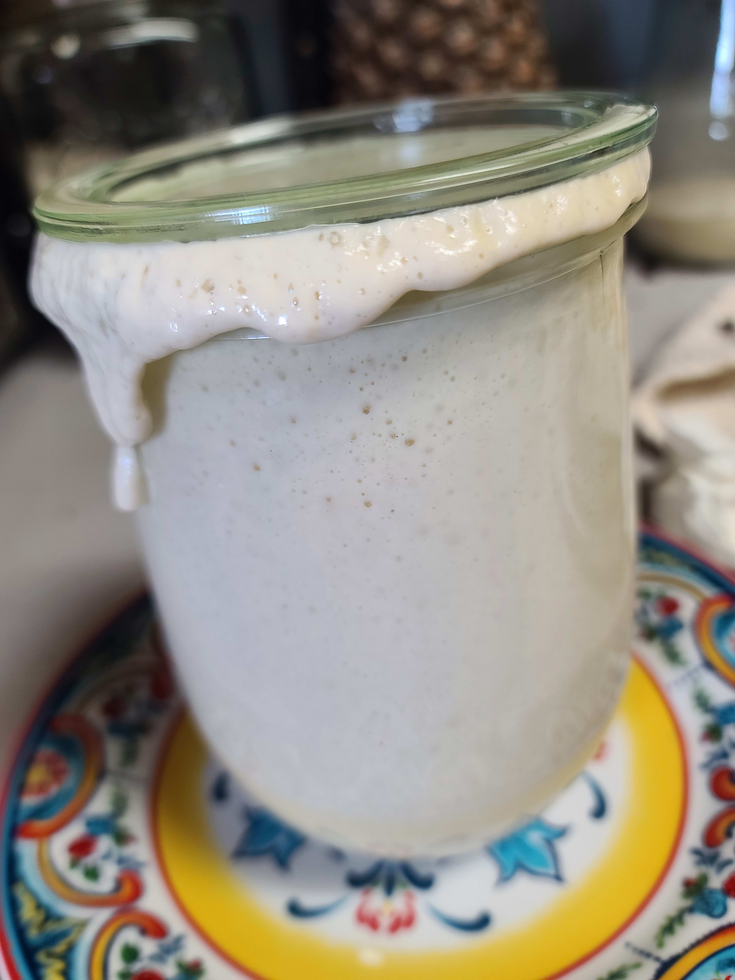 Wake Up And Bake: 50-Year-Old Dehydrated Sourdough Starter – Homestyle & Ready To Rise