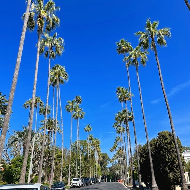 Visite privée Los Angeles en 1 jour Visites guidées en Français Visites de l