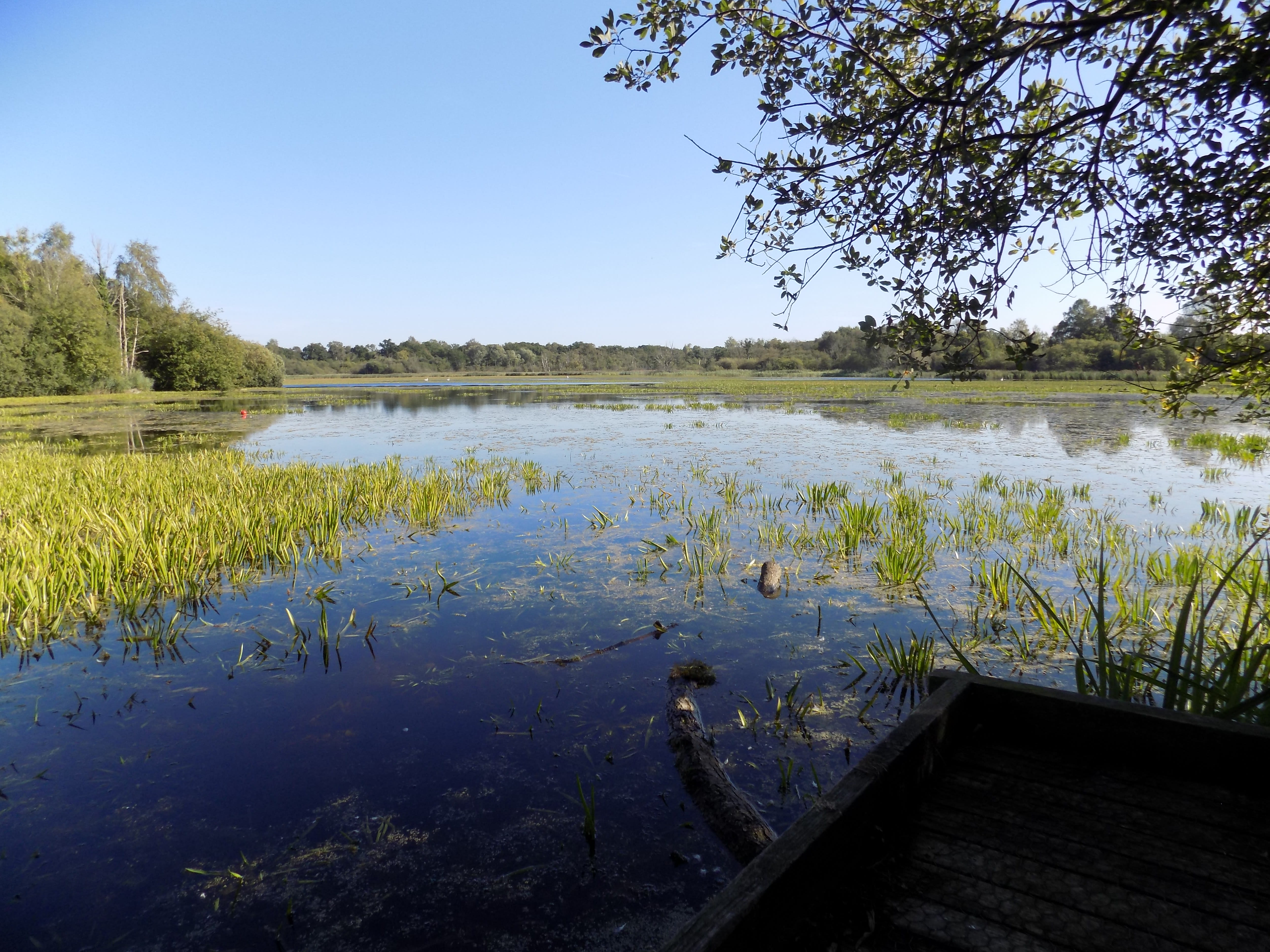 Outdoor Life 046 Online Outdoor Retailer Eye