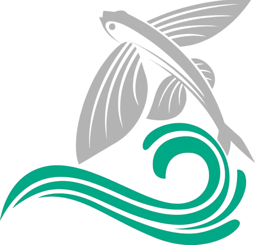 Phlying Phish Tours & Charters