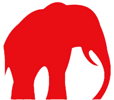 Red Elephant Mentors Ltd