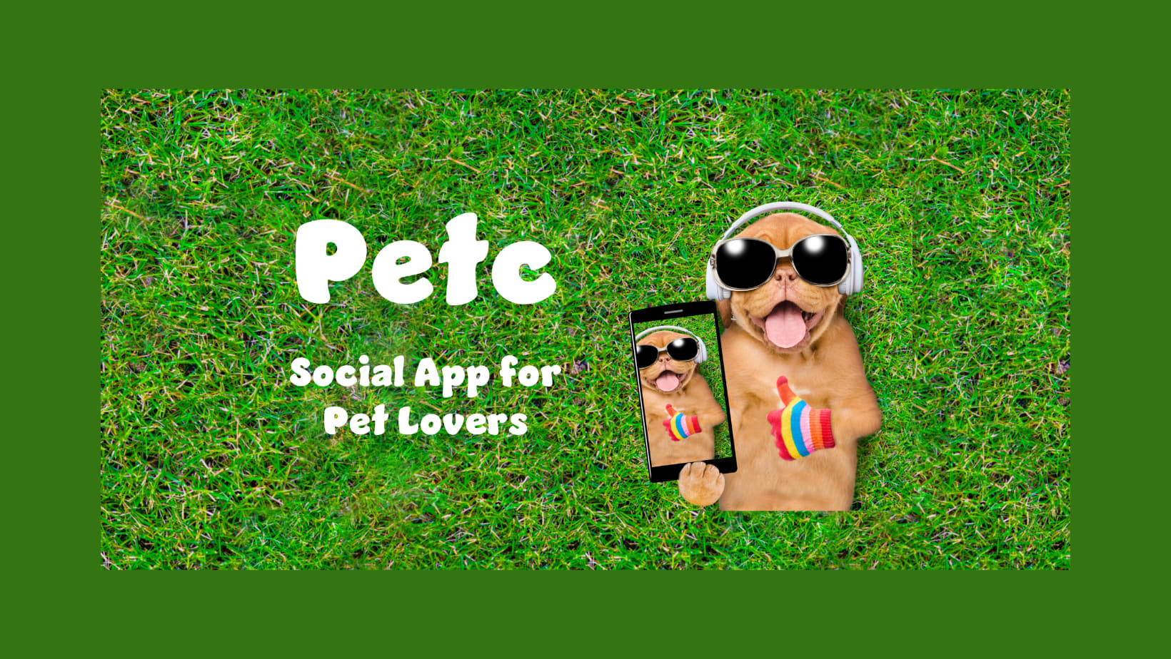 Yedi World Pet Store Pagosa Springs