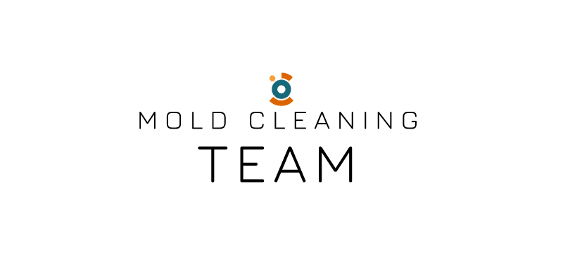 Mold Cleaning Team