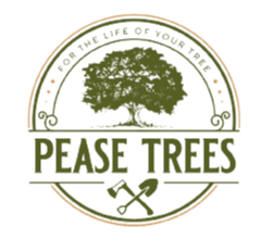 Pease Trees