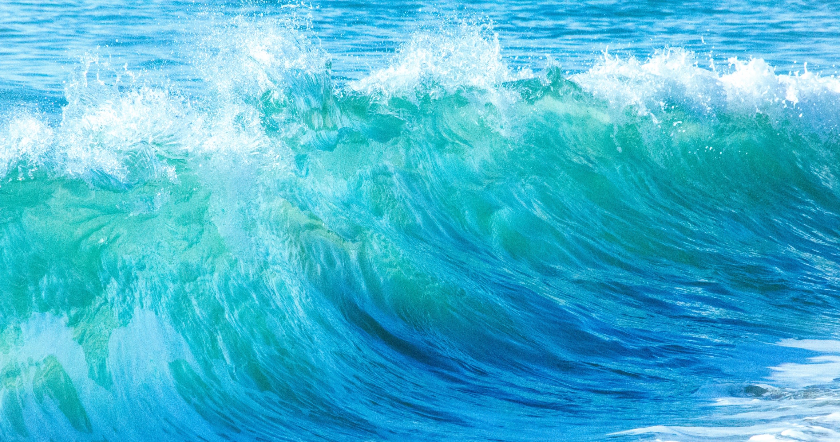 Epic Wave Cave Rentals Water Sports Equipment Rental in Canyon Lake