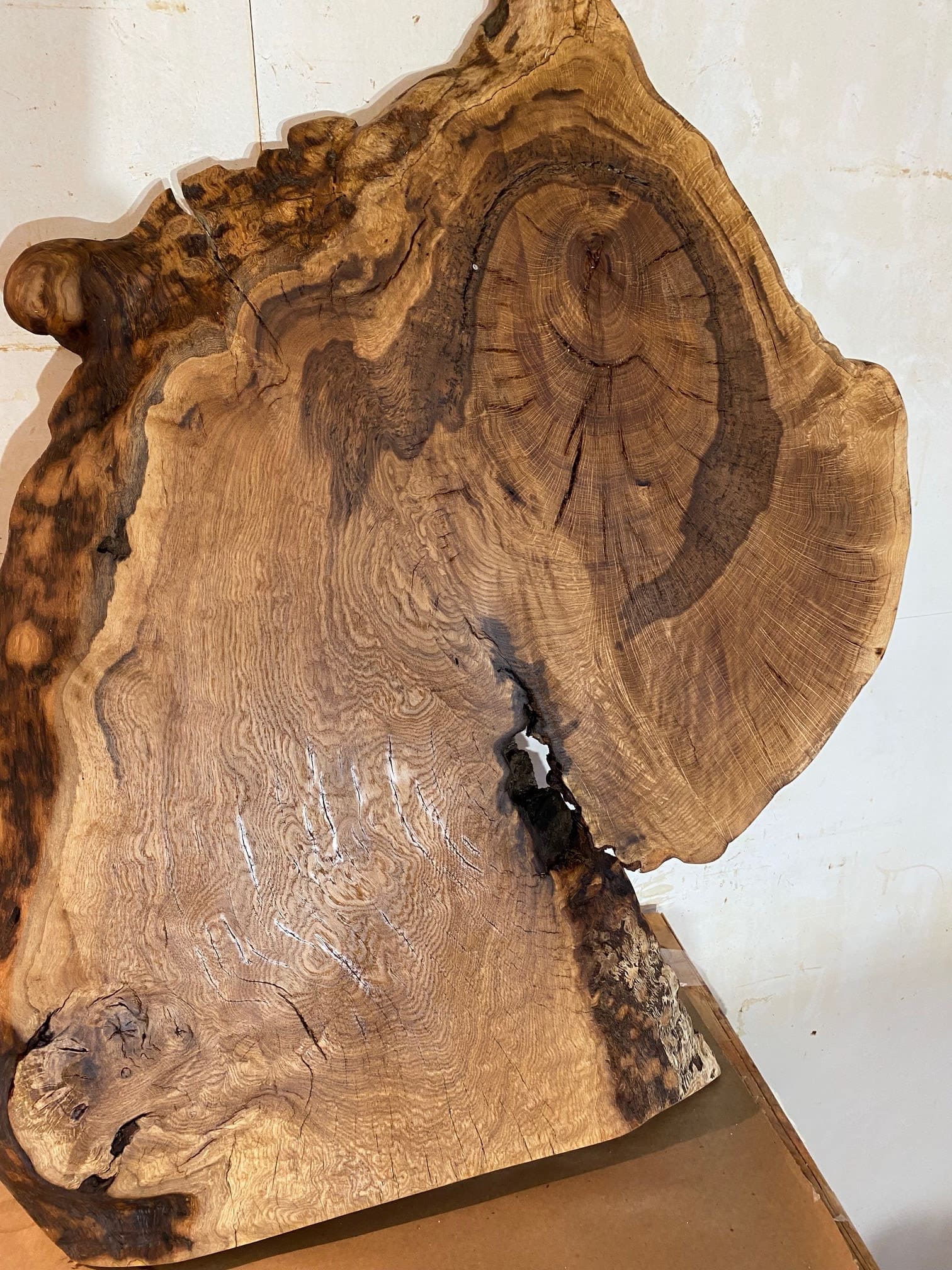 Large Buffalo Oak Slab End Wall Hangings Buffalo Oak Woodworking