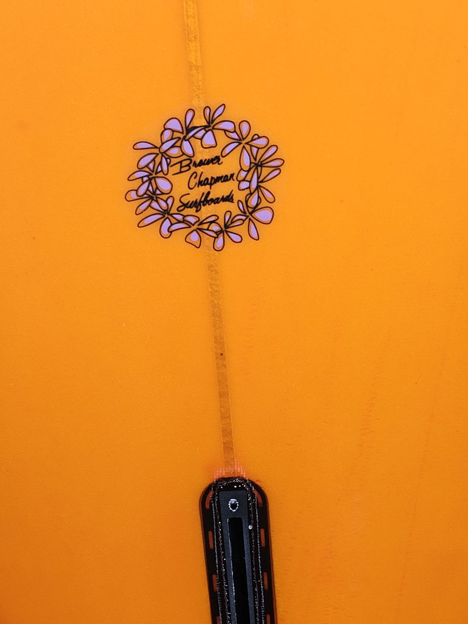 RARE Handshaped and signed Owl Chapman and glassed by the world's